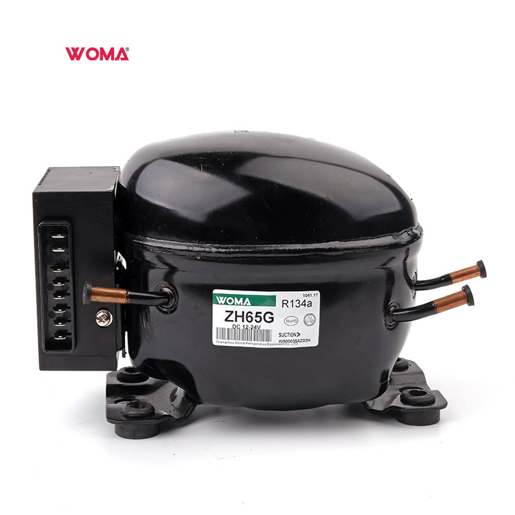 Kompresor Kulkas Mini Dc 12V 24V ZH65G R134a