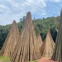Grosir Disesuaikan Kualitas Baik Tiang Lumut Dekorasi Tongkat Bambu Tonkin untuk Dukungan Tanaman