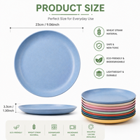 Ensemble d'assiettes écologiques en paille de blé, assiettes à dîner incassables, biodégradables, sans BPA, compatibles micro-ondes, vaisselle pour enfants et adultes
