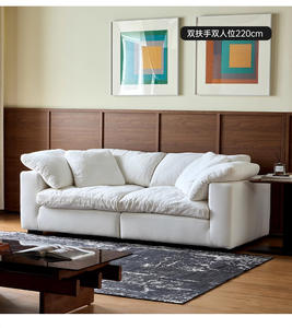 Canapé modulaire moderne rembourré avec coussins moelleux et structure robuste pour salon, appartement, villa, hôtel, bureau - Product Image 5