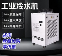 Refroidisseur d'eau 110V 220V, équipement de refroidissement CW-3000 5000 5200 6000, refroidisseur industriel
