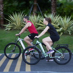 Factory Direct 29'' Mountain 9 <b>Speed</b> 250W 36V 20Ah Lithium Battery City E-bike for Adults EU001 Ebikes for Adults Ele - Product Image 3