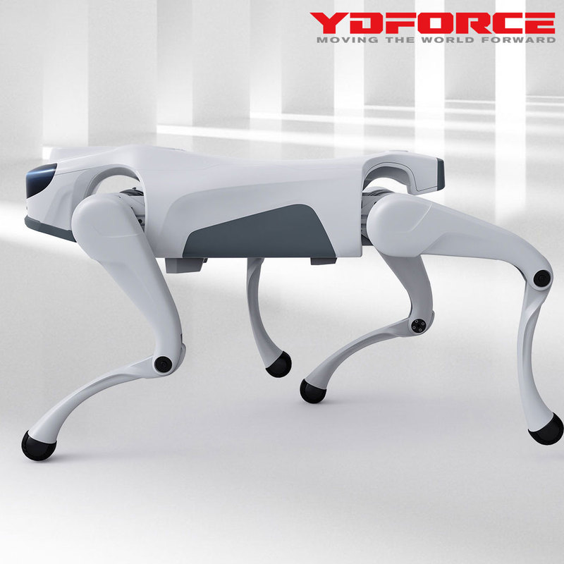 Go2 Air Collaborative Robots Smart Large