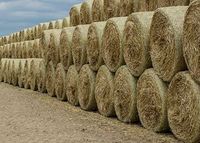 Film étirable HDPE pour ensilage et balles de foin pour ensilage rond