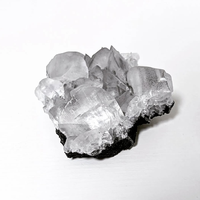 Échantillon de minéral brut, coquille de calcite avec fluorite, échantillon de minéral fluorescent aux UV pour la décoration