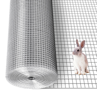 Grillage carré galvanisé 1/2 pouce 1/4 pouce pour clôtures de jardin et enclos pour animaux