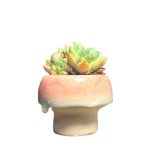 Jardinières en céramique pour plantes succulentes, décoration créative pour la maison, ornements, glaçure fluide, petits pots en forme de champignon, pots à glace craquelée pour <span class=keywords><strong>Lithops</strong></span> - Product Image 6