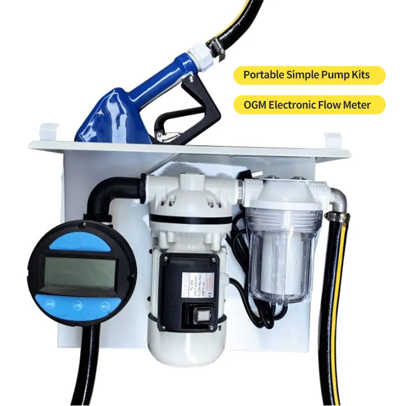 Dizel egzoz sıvısı için 5 "10" filtre elemanı ile fabrika doğrudan tedarik 110V/220V DEF pompa