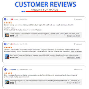 ドアツードアDDU DDPサービス中国からアルゼンチンへプレミアム航空速達貨物輸送機中国代理店1688 - Product Image 4