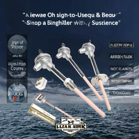 Hanke Type-K S Type Thermocouple Muffle Furnace Temperature Sensor B R S K High Temperature Platinum Rhodium 1.5C OEM ODM