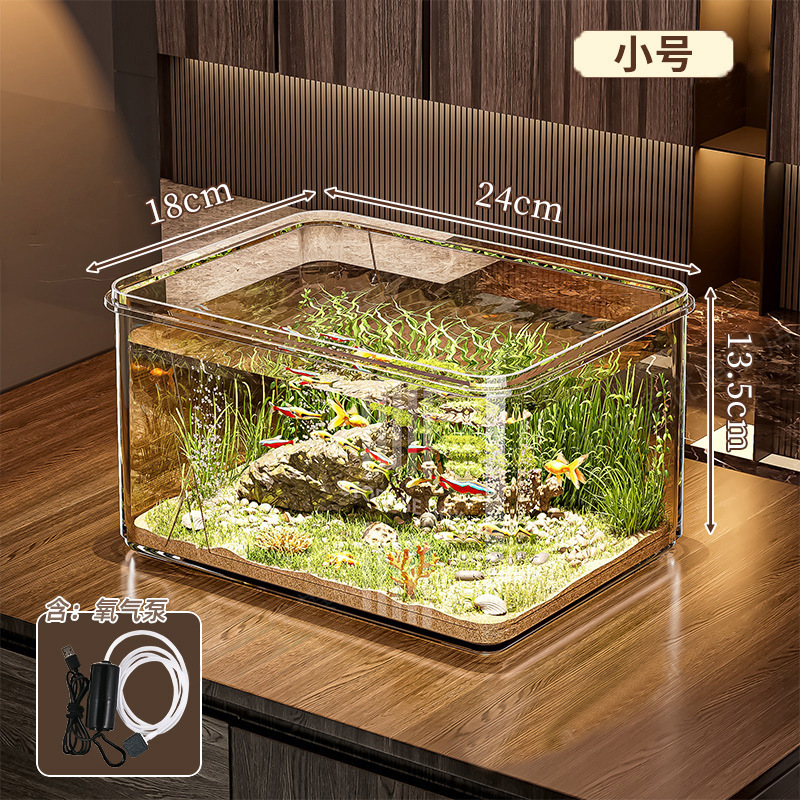Piccolo acquario + pompa di ossigeno
