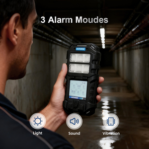Rilevatore di Gas Multiplo Portatile E6000 6 in 1, Stazione di Monitoraggio della Qualità dell'Aria per il Controllo Ambientale, IP67 - Product Image 3