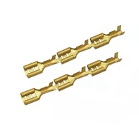 Connecteur électrique à sertir 6.3mm, 6.3 pièces, borne de raccordement pour câbles électriques TE/DT/pt/AMP/MOLEX/JST, bornes automatiques pour appareil à domicile