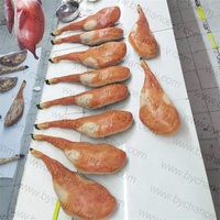 Réaliste modèle de nourriture factice fausse viande de porc réplique jambe d'agneau corbeau jambon gammon pour restaurant magasin publicité affichage accessoires