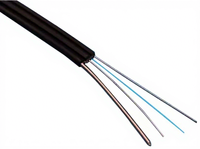 Cable Óptico Sunet con Precio de Fábrica, Cable de Bajada Óptica GJYXCH para Exterior/Interior, 1-4 Hilos, 3 Hilos de Acero, FRP 2.5mm, FTTH G657A/G652D LSZH/PVC