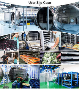 เครื่องอบแห้งแช่แข็งแบบขวดอัตโนมัติขนาดใหญ่สำหรับการค้า - Product Image 4