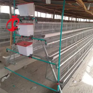 Automatic galvanized laying chicken hens cage for Zambia Kampala farm