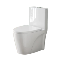 Vente en gros de matériel sanitaire Armoire de salle de bain en céramique monobloc à économie d'eau Toilette à double chasse d'eau Forme de cuvette carrée Drainage en S