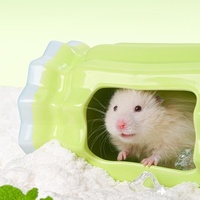 Rumah Pendingin Keramik untuk Hamster, Kandang Es Musim Panas untuk Guinea Pig dan Hamster Suriah, 4 Model, Grosir