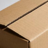 Caja de Envío Corrugada Extra Grande con Logotipo Personalizado, Material Reciclado, con Forro de Esponja para Embalaje y Transporte