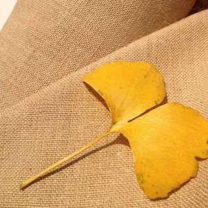 Tissu de toile de jute 55% jute 45% coton, tissu de <span class=keywords><strong>chanvre</strong></span>, toile de jute tissée, tissu de lin, fibre de toile de jute, toile de coton tissée, tissu de canapé en jute - Product Image 6