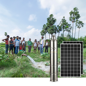 DC 24V Permanent Magnet Brushless High-Pressure Stainless Steel 304 Solar <b>Submersible</b> <b>Pump</b> 200W Solar Panel Built-in Controller - Product Image 4