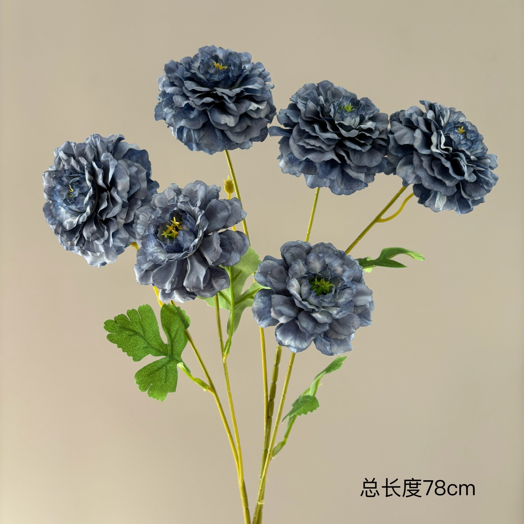 6 Koi Pivoine Brume Bleue