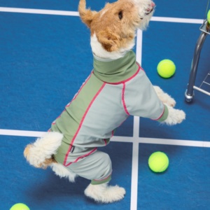 Abbigliamento Personalizzato per Cani all'Ingrosso, Giacca Regolabile Traspirante e Leggera per Bassotto e Cani di Piccola Taglia - Product Image 4