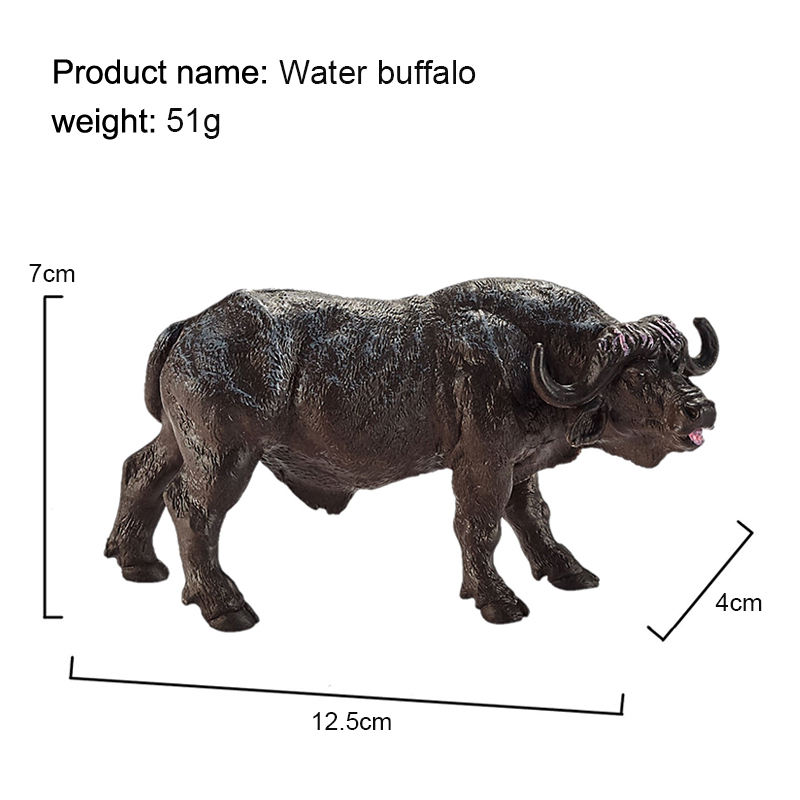 Water Buffalo