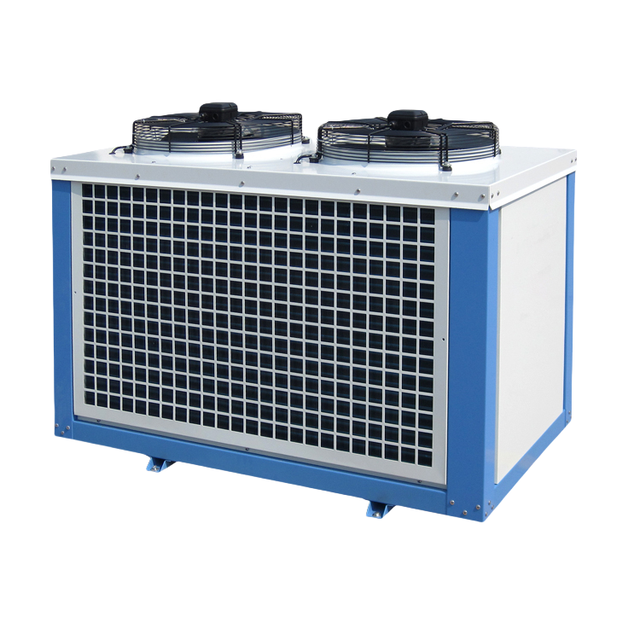 Hermetic Condensing Unit,  Scroll Low Noise Cold Store Refrigerator for Small Cold Room & Walk in Cooler