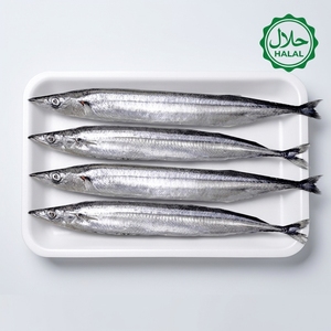 Approvisionnement direct usine – <span class=keywords><strong>Poisson</strong></span> sauvage de haute mer congelé (Saury, Sanma, Cololabis, Saira) pour bars à sushi japonais – Certifié HACCP, sûr - Product Image 1