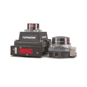 Interruptor de Límite Topworx DxS TxS de Acero Inoxidable con Reinicio Automático para Control de Válvulas - Product Image 4