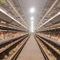 Projet clé en main pour ferme avicole de 100 000 poules pondeuses, système de cages automatiques pour la production commerciale d'œufs à grande échelle