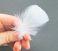 Plume d'oie de citron vert pour Arts artisanat bricolage stylo aile coiffure fête carnaval Costume chapeau cheveux accessoire Halloween maison décor de noël