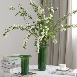 Vase en verre transparent haut de gamme pour la maison, à une rangée, pour arrangement floral aquatique, style luxe léger, petit vase en cristal - Product Image 5