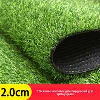 Gazon artificiel haut de gamme en plastique pour véranda, toit en verre, isolation thermique, pelouse, balcon, décoration de toit, tapis vert extérieur