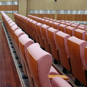 เก้าอี้หอประชุมแบบมีระดับ Manwa Expo รุ่น Pink Beech Engineering รุ่น HB665 สำหรับโรงเรียน โรงพยาบาล และห้องบรรยาย - Product Image 3