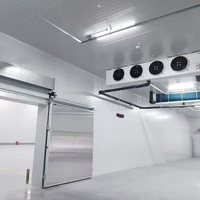 Chambre Froide Industrielle pour Viande, Poisson, Légumes - Chambre de Congélation - Projet de Stockage Frigorifique Personnalisé à Grande Échelle