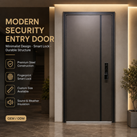 Porte d'entrée en acier pour mère et fils, porte de sécurité antivol avec serrure intelligente, taille personnalisée, porte extérieure pour villa et appartement