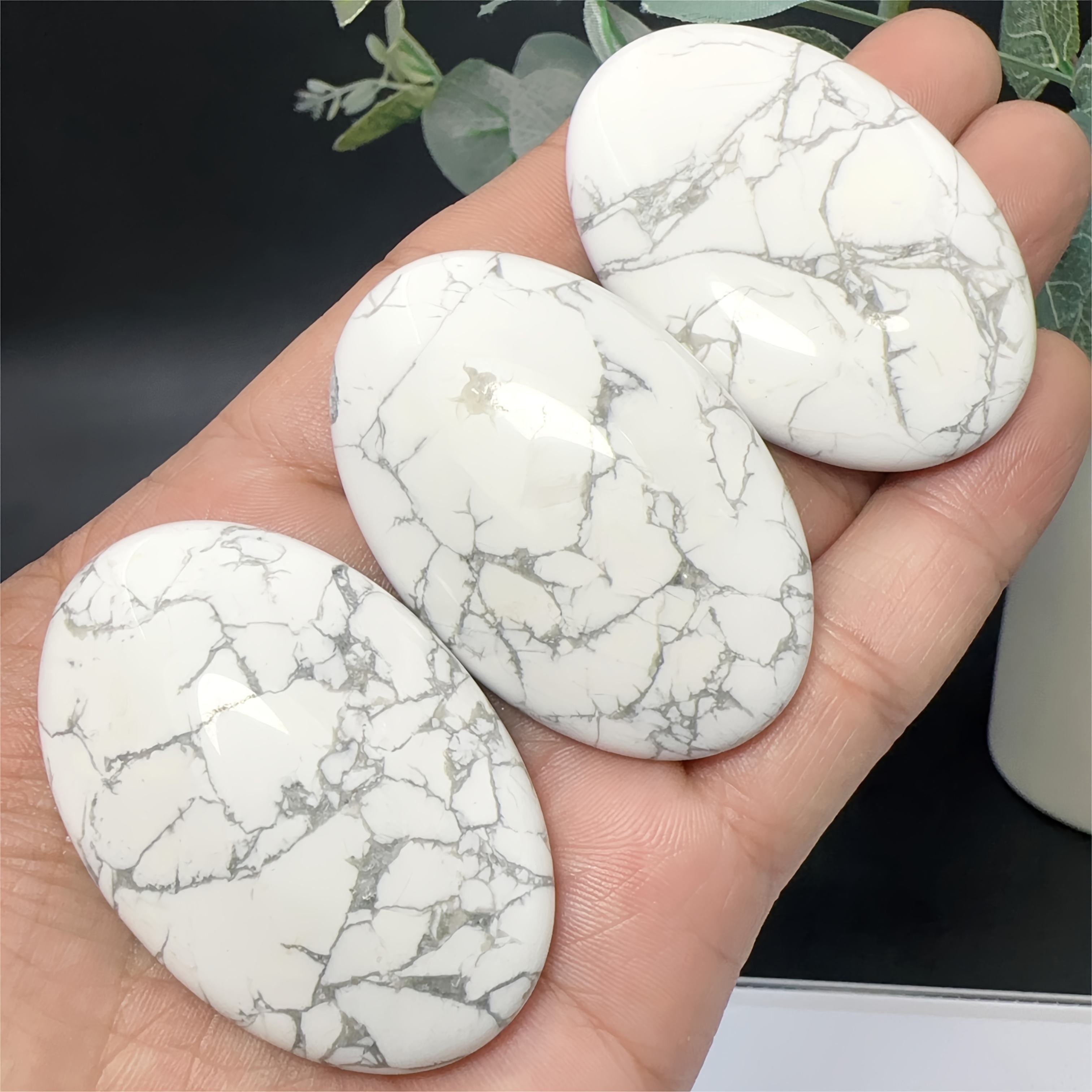 โฮวไลต์ ปาล์ม