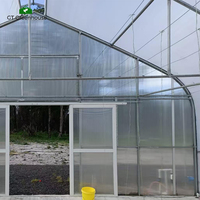 Serre en film plastique à tunnel unique, économique et facile à utiliser, GT Four Seasons, à vendre