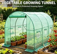 Serre tunnel en PVC 4x3x2 robuste, résistante au gel, pour extérieur, avec porte roulante et structure métallique