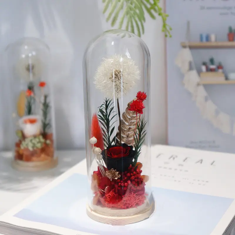 New Arrival Preserved Dandelions With Flowers Plants In Glass Dome Crafts Gifts for Home Dector Women's Day Christmas Birthday