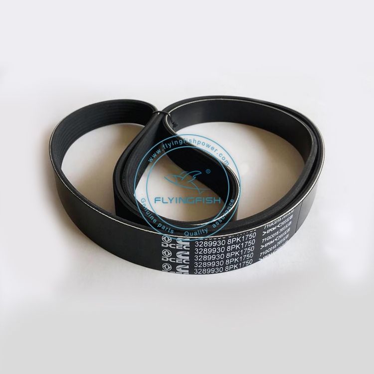 High Quality Diesel Engine V Ribbed Belt 3289930 8PK1750