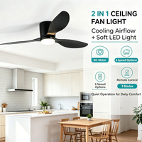 Ventilateur de plafond écoénergétique avec éclairage, cadre en fer, pales noires mates, télécommande, luminaire d'intérieur