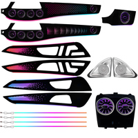 Kit d'éclairage d'ambiance pour Mercedes Benz CLS W218 2012-2017 |   Kit de garniture de porte à 29 LED effet arc-en-ciel avec contrôle par application pour W218 (retrofit)