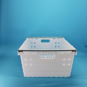 <span class=keywords><strong>Caisse</strong></span> en plastique pour la récolte de mangues, bananes, pommes, agrumes et légumes - Product Image 2