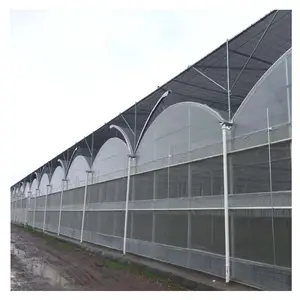 Excellent serre joint gutter connected greenhouse for sale