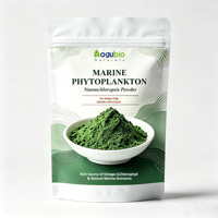 Poudre de Nannochloropsis de Phytoplancton Marin Pur en Gros – Matière Première Suprême de Microalgues Super Alimentaires pour Marque Privée OEM