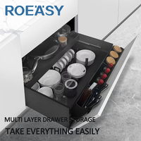 ROEASY Rangement de cuisine en acier à double couche Tiroir coulissant multifonction Couverts et ustensiles d'assaisonnement 3 accès latéraux